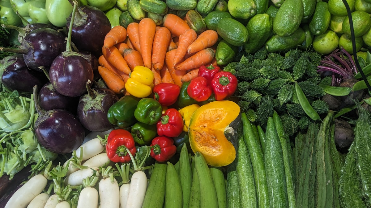 Aliments fermentés riches en probiotiques